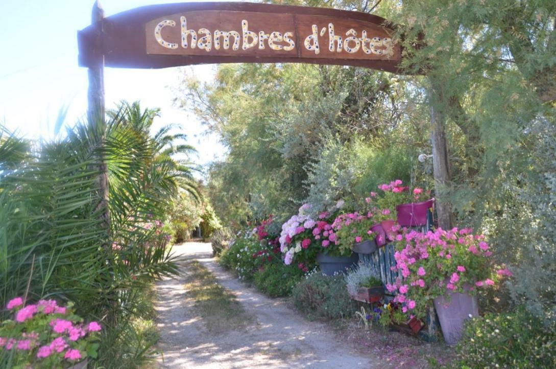 Gites Chambres D'Hotes Mazet Du Marechal Ferrant Saintes-Maries-de-la-Mer Buitenkant foto