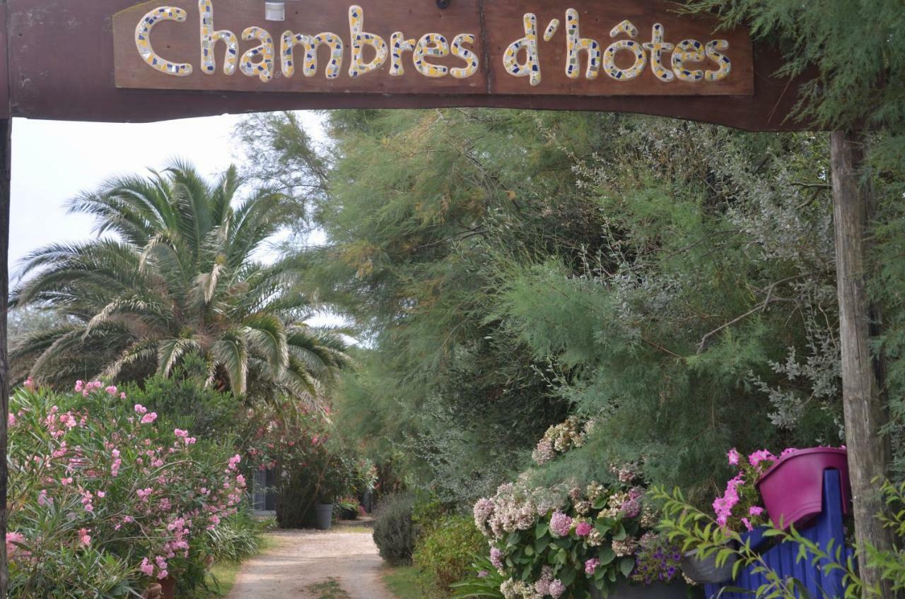 Gites Chambres D'Hotes Mazet Du Marechal Ferrant Saintes-Maries-de-la-Mer Buitenkant foto